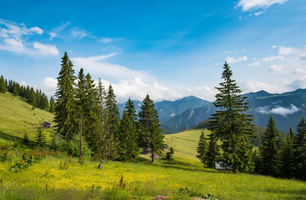 Kosovo Rundreise Kosovo Mietwagenrundreise Tradition Gastfreundschaft Und Atemberaubende Natur